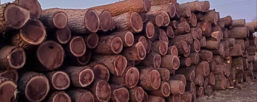 Broadleaf Lumber Walnut